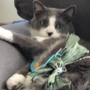 Meet your Posher, Mary jo